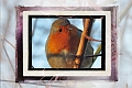 30 12 14_0098_edited-2